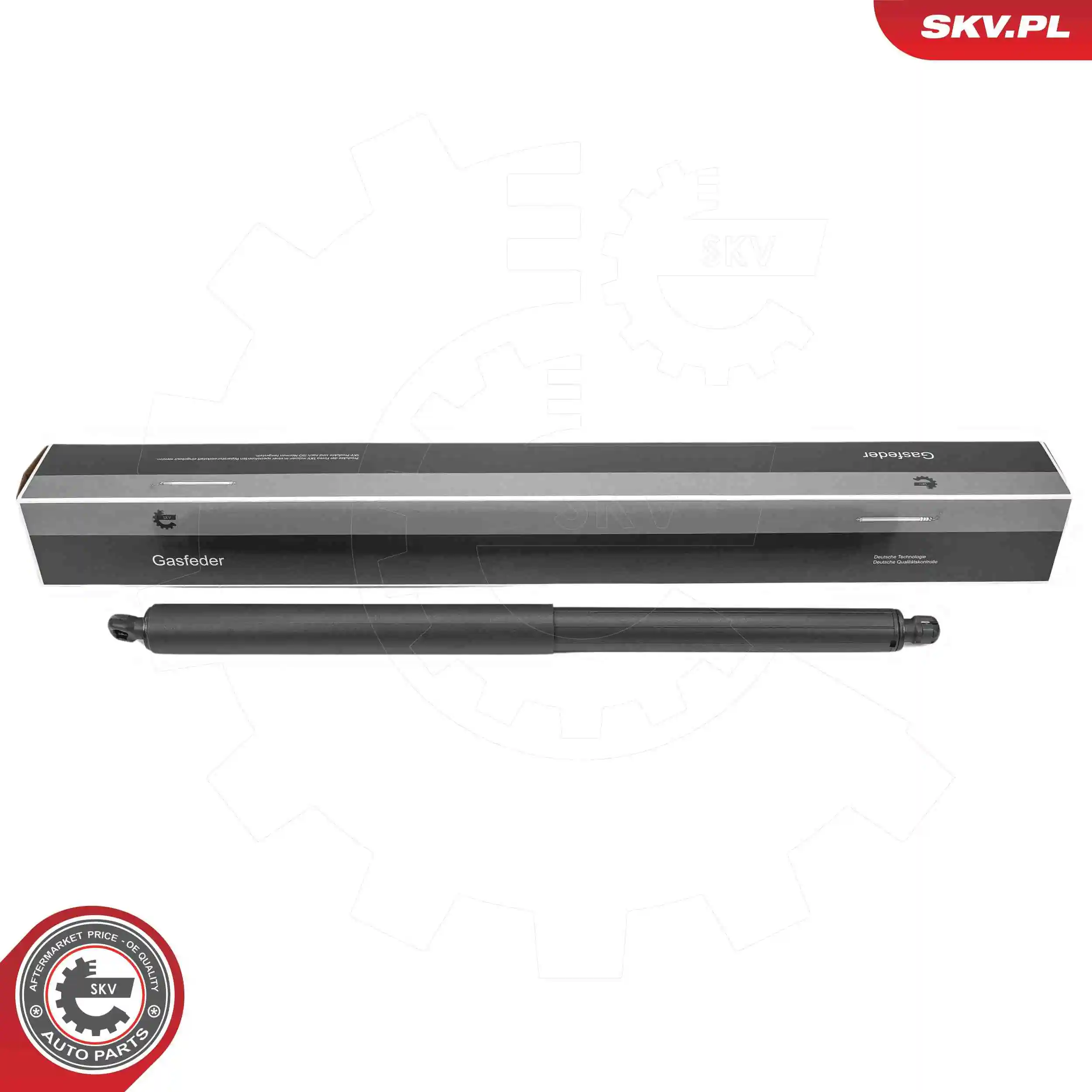 Gas Spring, boot/cargo area